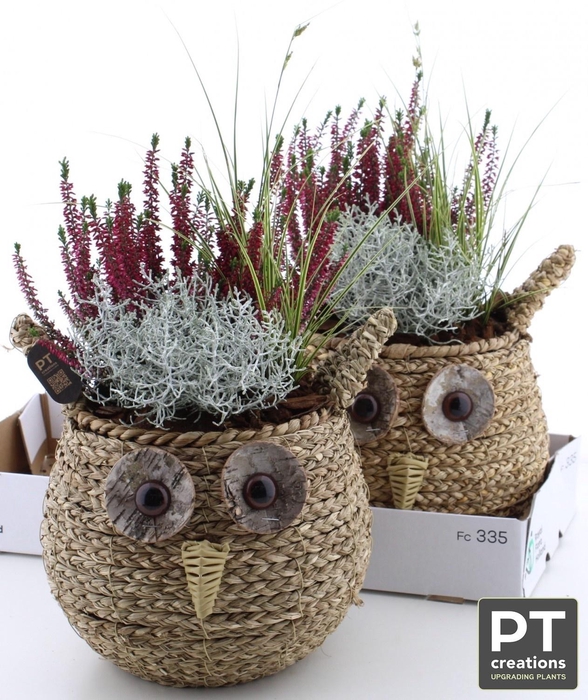 <h4>ARR TUINPLANTEN H%</h4>