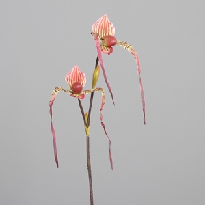 Lady's slipper orchid 80cm green