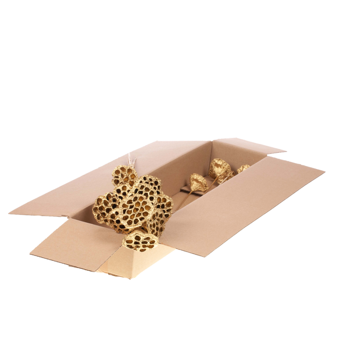 <h4>Lotus O/s Sb Gold</h4>