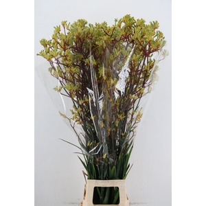 ANIGOZ EMMA YELLOW 120CM