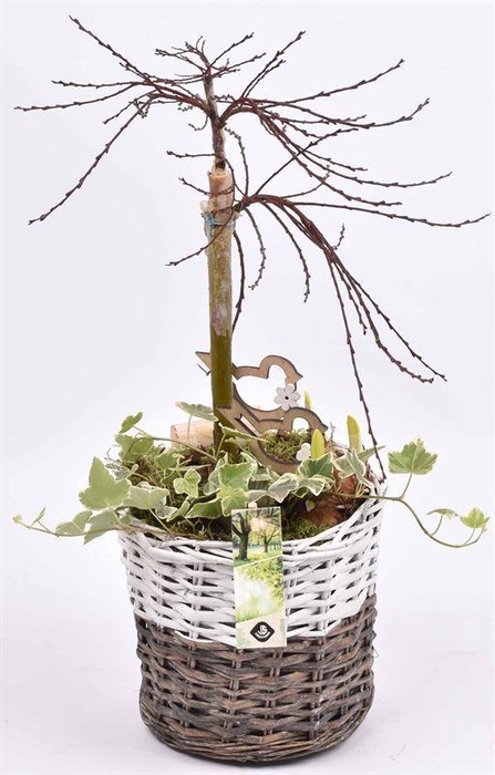 <h4>Wilg mand br/wit 20cm</h4>