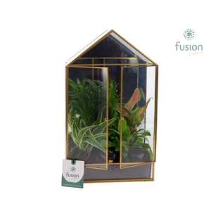 Geometrische plantenbak met arrangement