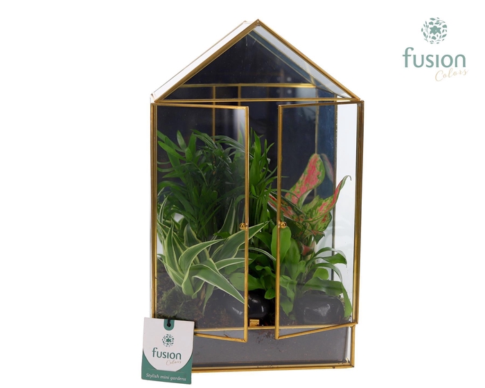 <h4>Geometrische plantenbak met arrangement</h4>