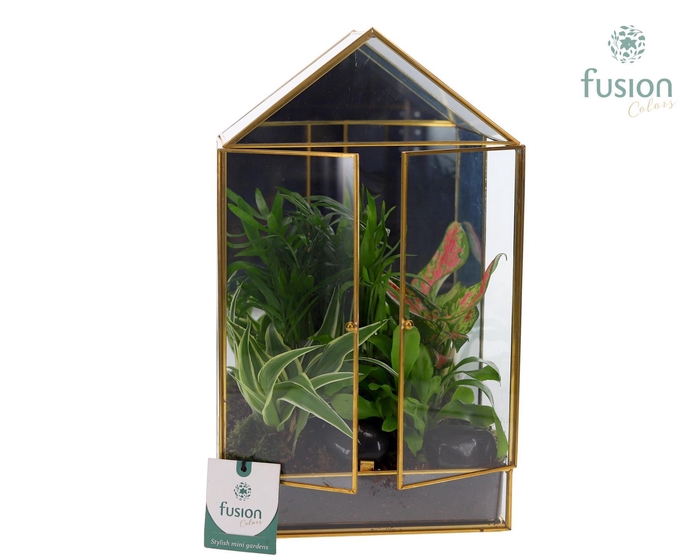 <h4>Metaal Geometrische plantenbak met arrangement</h4>