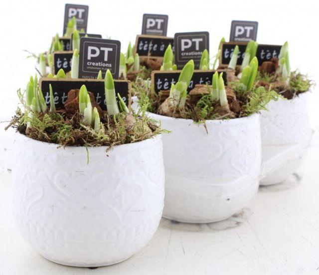 <h4>ARR N TETE A TETE</h4>