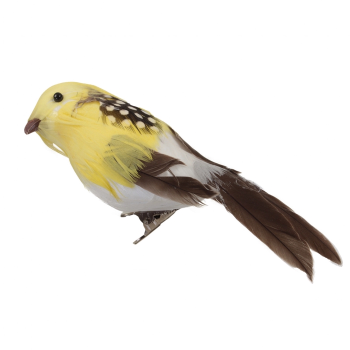 <h4>Voorjaar Vogel/clip d13cm x6</h4>