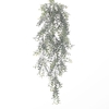 AF Hang Bush Boxwood x5 L75cm