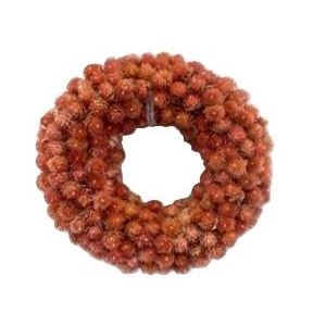 Wreath Gomphrena D15