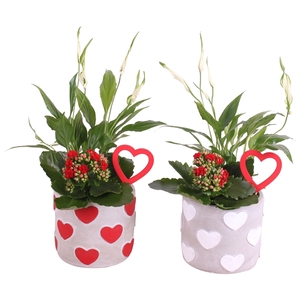 Valentine Arr. Indoor Ceramic Hearts pot Red/White Ø14cm 2PP