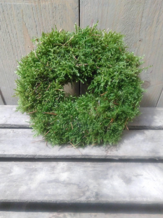 <h4>KRANZ 16 MOOS 15CM</h4>