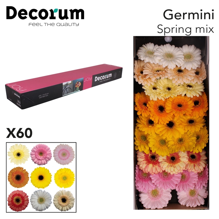 <h4>Germini Mix Spring Doos</h4>