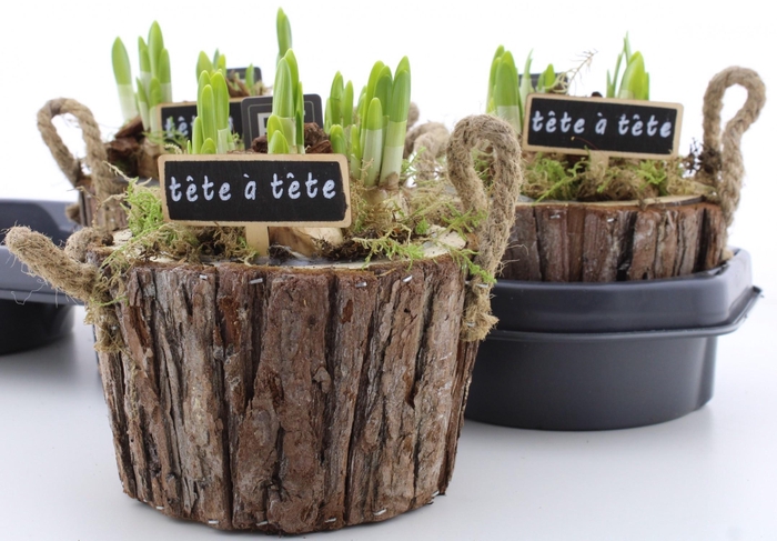 <h4>ARR N TETE A TETE</h4>