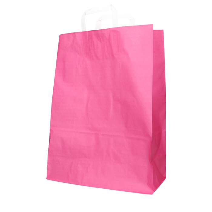 <h4>Bags Paper 32/15*43cm</h4>