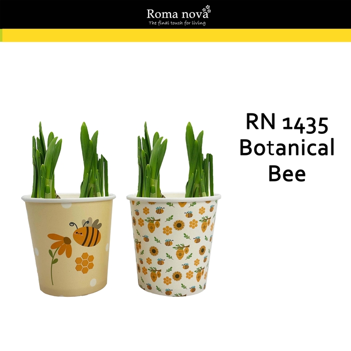 <h4>1435 - Botanical Bee (Tete a Tete)</h4>