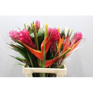 HELICONIA A  BQT ZAIRE 996