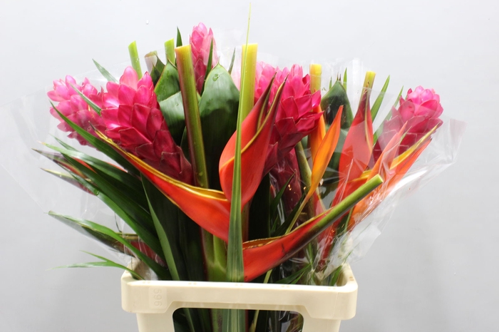 <h4>HELICONIA A BQT ZAIRE 996</h4>