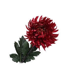 Chrysant Deco Red