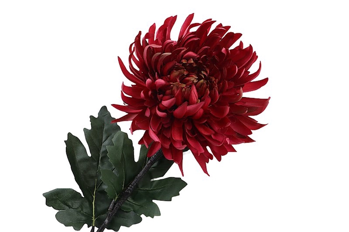 <h4>Chrysant Deco Red</h4>