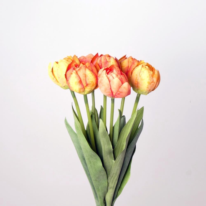 AF Tulip Columbus Bundx7 L44cm