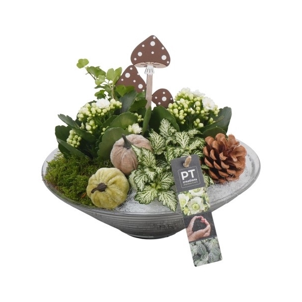 <h4>PTHG3330 Arrangement Autumn Glass in glas schaal</h4>
