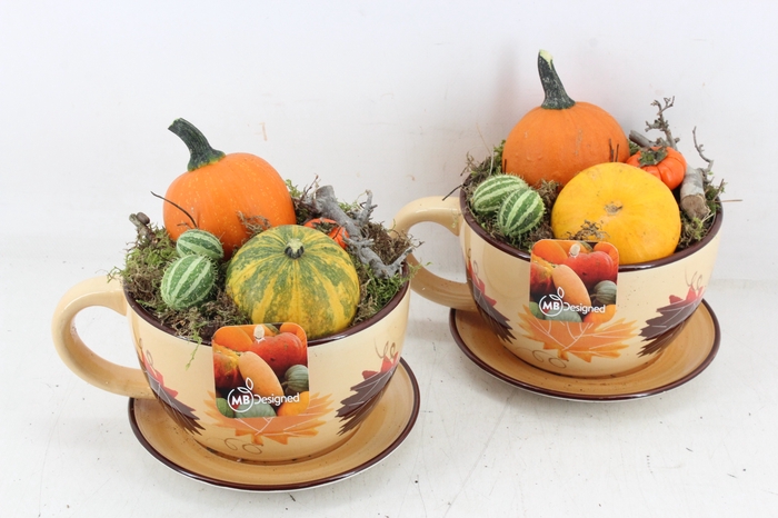 arr4 Sierfruit MB090 - Kop en schotel herfst