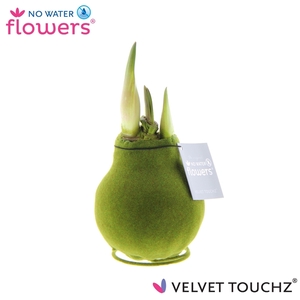 No Water Flowers Velvet Touchz® Moss Green