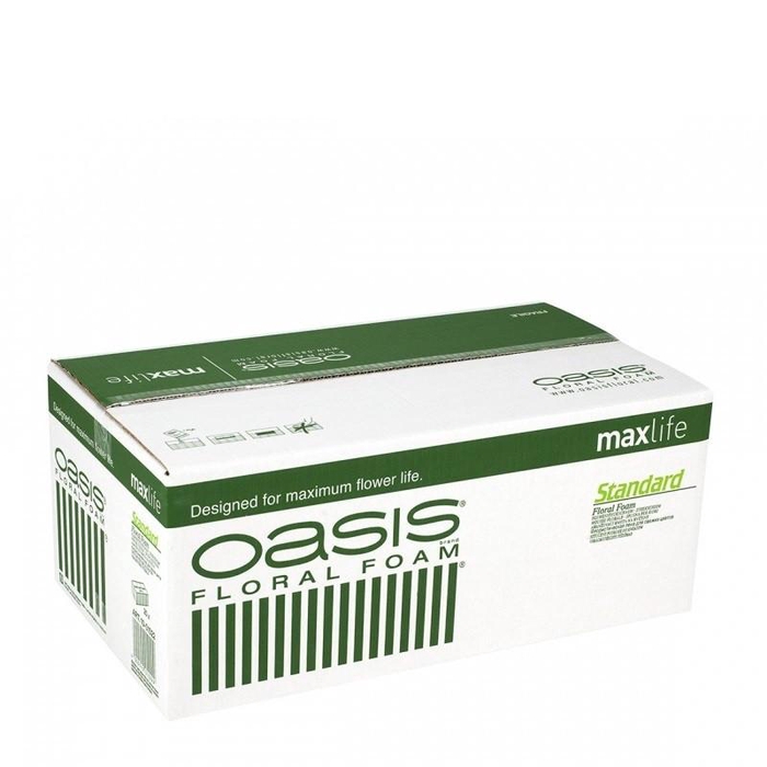 <h4>Oasis Brick Standard x35 23*11*8cm</h4>