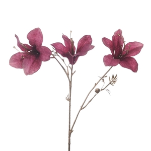 Af Bauhinia Spray 66cm Magenta