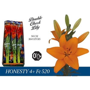 LI LA HONESTY BOX