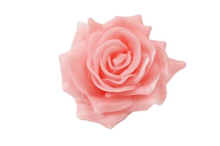 <h4>WAX ROSE D10 LIGHT PINK</h4>