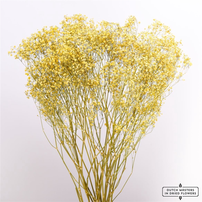 <h4>Dried Gyps Yellow Extra Bunch</h4>