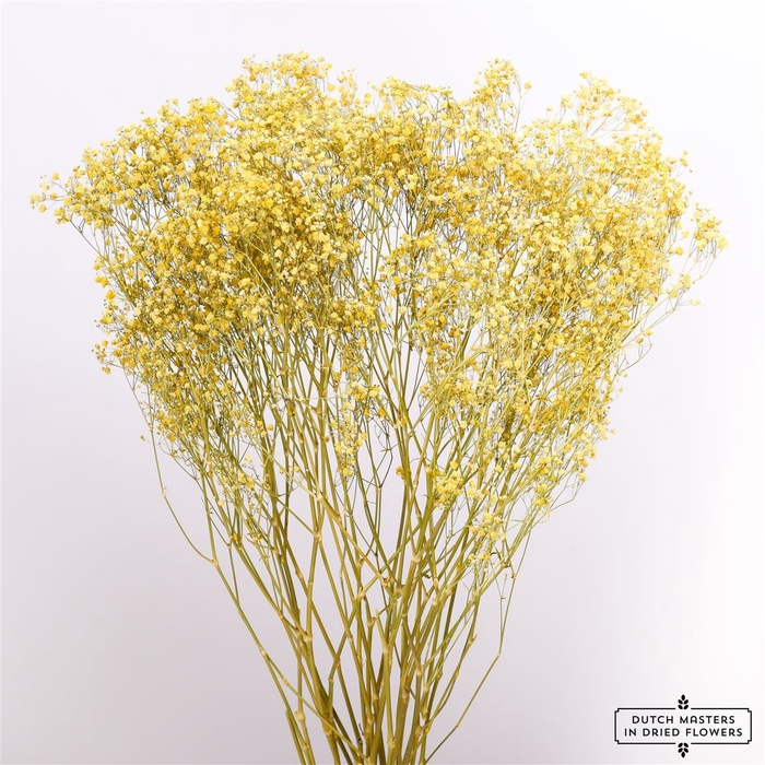 <h4>Dried Gyps Yellow Extra Bunch</h4>