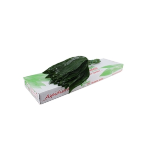 Aspidistra 60 Green Invest