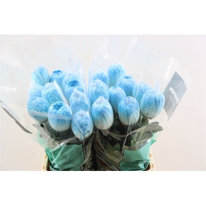 Chr G Kbh Antonov Pastel Blue