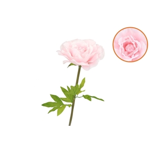 Silk Amazing Rose Beauty Light Pink Xxl 50x120cm