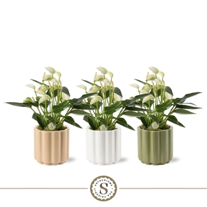 Monza Keramiek 9cm White