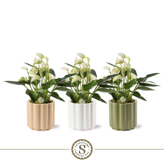 <h4>Monza Keramiek 9cm White</h4>