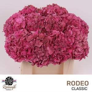 HYDR M CH RODEO CL