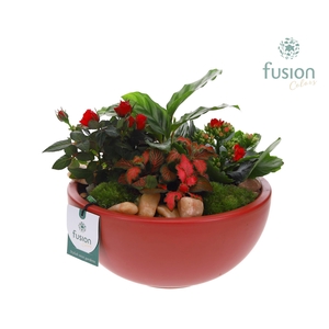 Schaal keramiek Moon Large marsala rood Love met arrangement