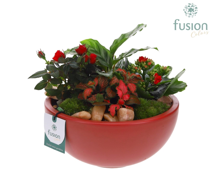 <h4>Schaal keramiek Moon Large marsala rood Love met arrangement</h4>