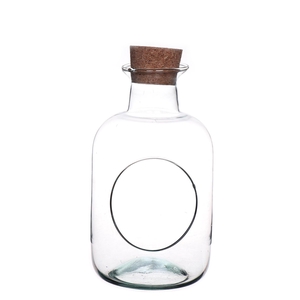 DF01-883553900 - Terrarium Bovey d8/14xh25 Eco + cork