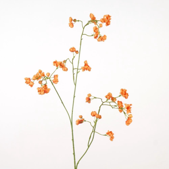 <h4>AF Euonymus Spray L91cm Orange</h4>