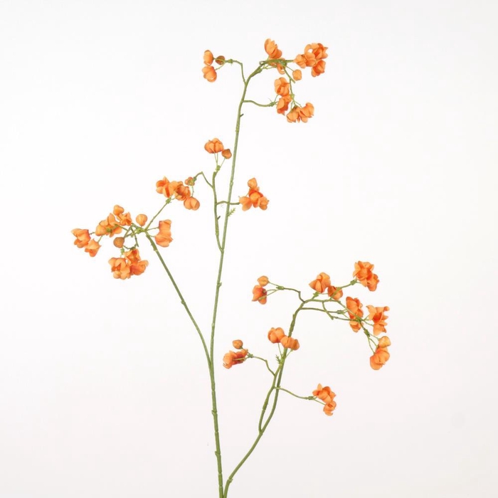 <h4>AF Euonymus Spray L91cm Orange</h4>