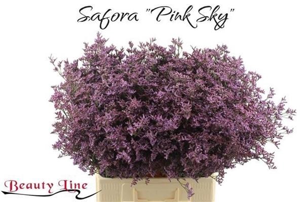 <h4>LIM SAF PINK SKY</h4>