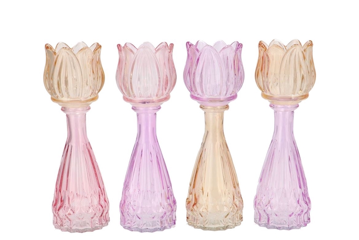 <h4>Bicolore Dreamy Pastel Mix Tulip Vase Ass 7x22cm</h4>