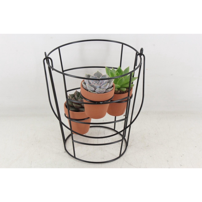 <h4>Arr2 Pl - Zink Emmer Frame Terra Potje</h4>