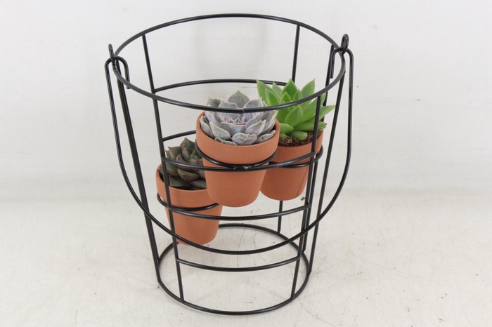 Arr2 Pl - Zink Emmer Frame Terra Potje