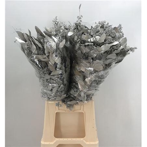 Col Pop Bes Platinum