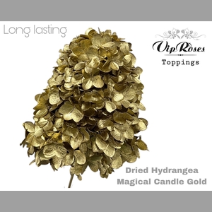 DRIED HYDRANGEA MAGICAL CANDLE GOLD