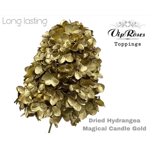 DRIED HYDRANGEA MAGICAL CANDLE GOLD